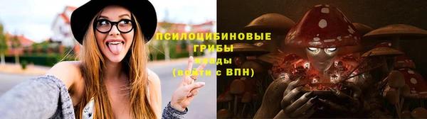 МДМА Богданович