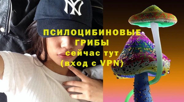 прущая мука Богородицк